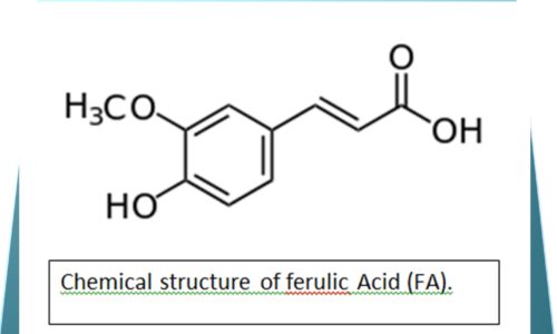 imagem da célula do ácido ferúlico